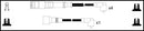 Lemark Ignition Lead Set - HOES814