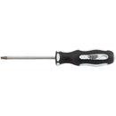 Draper Expert T25x100tx-Tamperproof S/D-PKD - 35145