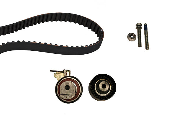 INA Timing Belt Set - Part No - 530041910
