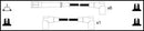 Lucas Ignition Lead Set - LUC5297