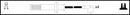 Lemark Ignition Lead Set - HOES387