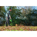 D20 20V Leaf Blower - 1 x 2.0Ah Battery - 1 x Charger