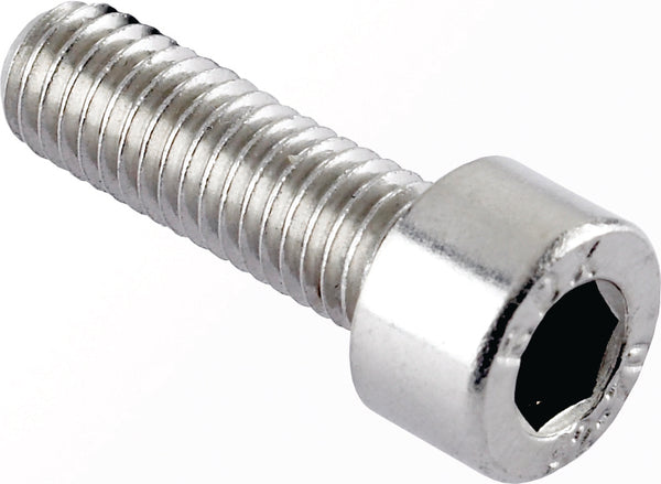 Socket Capscrews - Stainless Steel - Metric - 991024 x100