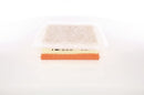 Bosch Air Filter - F026400235