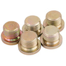 Draper PK5 Replace.Sump Bolt M17x1.5 - 85534