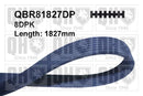 QH V-Ribbed Drive Belt - QBR81827DP