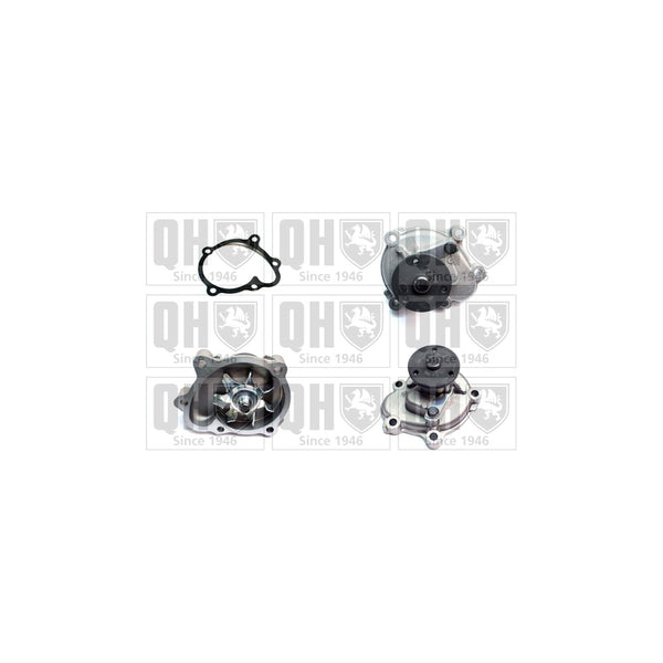 QH QCP3654 Water Pump