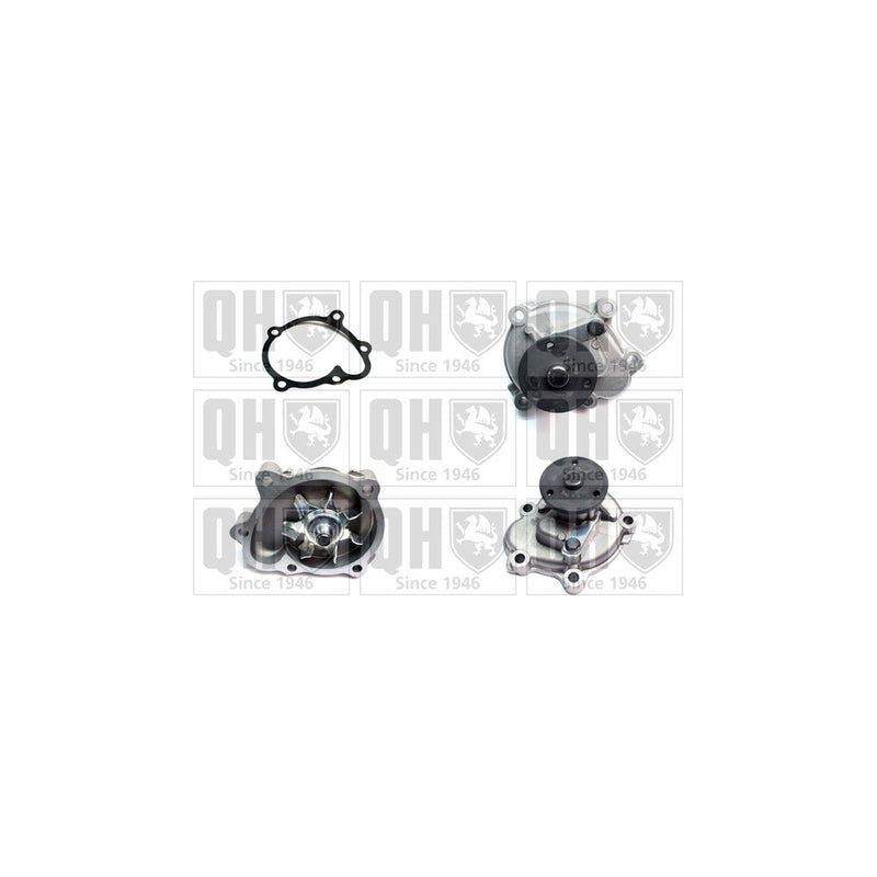QH QCP3654 Water Pump