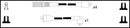 HighVolt Ignition Lead Set - OEF253