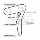 Borg & Beck Timing Belt Water Pump Kit  - BTW1021