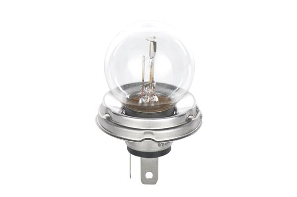 Bosch Pure/Lt R2 12V 45/40W P45T Part No - 1987302023