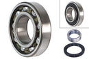 FAG Wheel Bearing Kit - 713623440