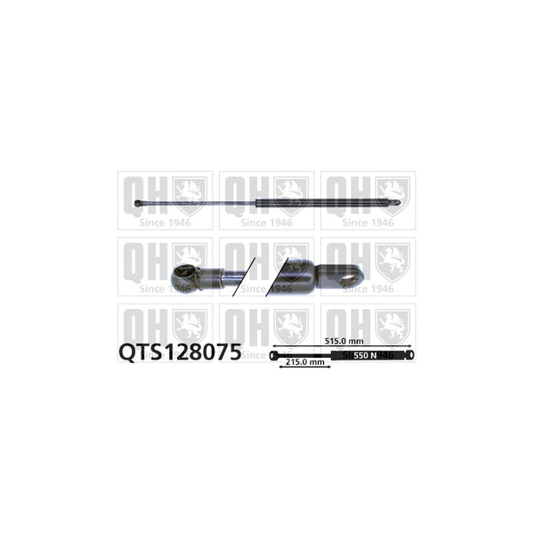 QH QTS128075 Gas Spring
