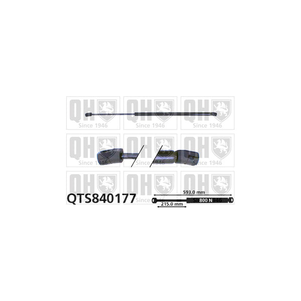 QH QTS840177 Gas Spring