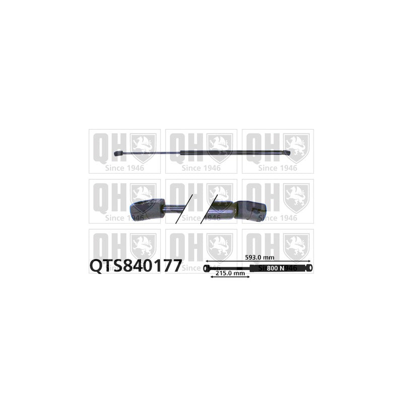 QH QTS840177 Gas Spring