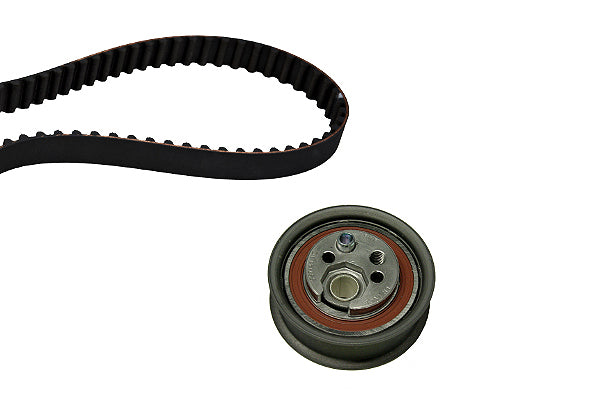 INA Timing Belt Set - Part No - 530039210