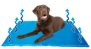 Pet Cool Mat 95 X 80Cm - SWPET10