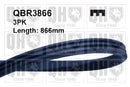 QH V-Ribbed Drive Belt - QBR3866