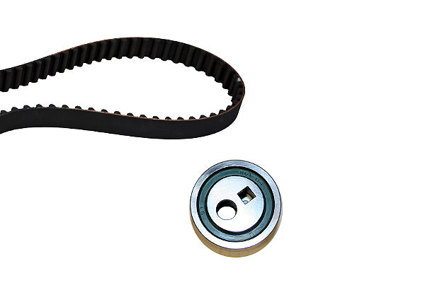 INA Timing Belt Set - Part No - 530025210