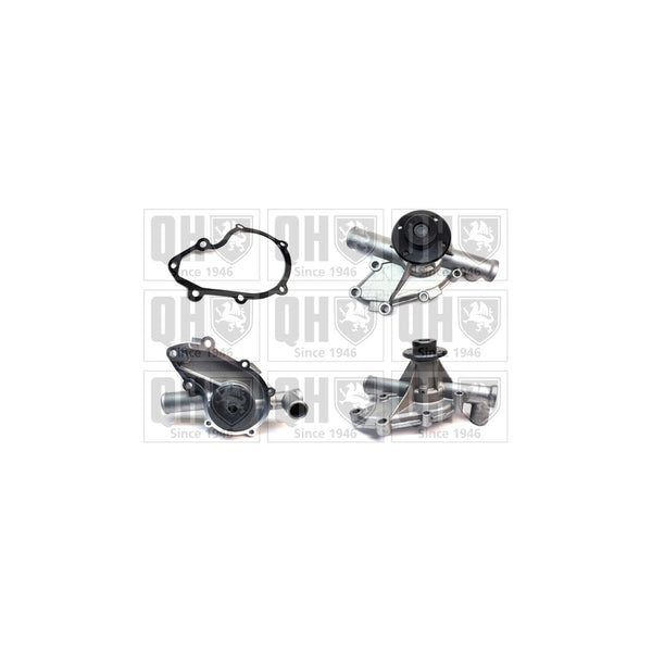 QH QCP561 Water Pump