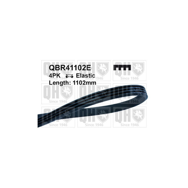 QH QBR41102E Drive Belt