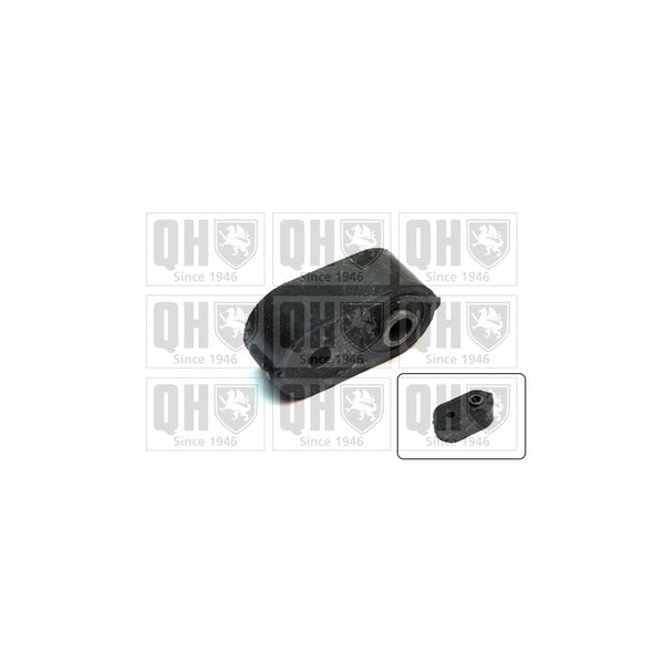 QH EMB2024 Stabiliser Bar Bush