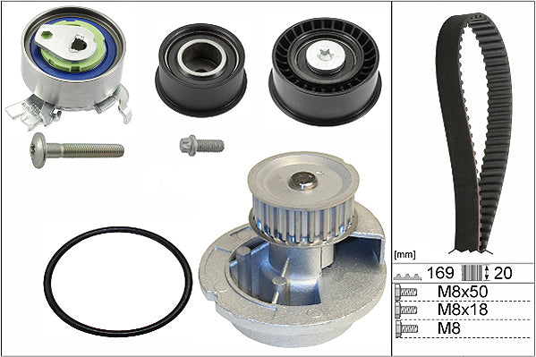 INA Water Pump & Timing Belt Set - Part No - 530007831