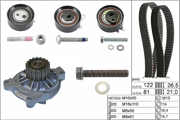 INA Water Pump & Timing Belt Set - Part No - 530048431