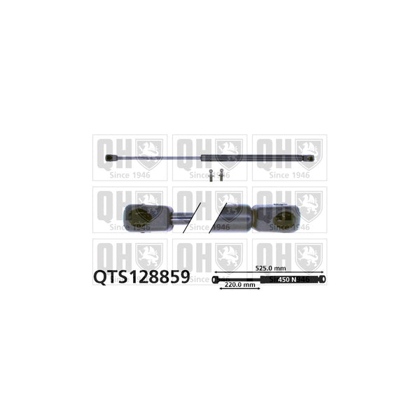 QH QTS128859 Gas Spring