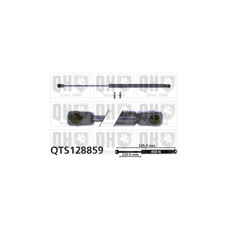 QH QTS128859 Gas Spring