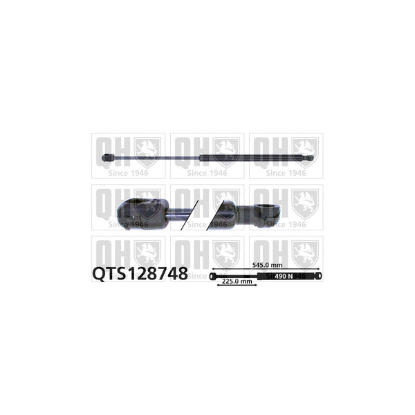 QH QTS128748 Gas Spring