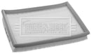 Borg & Beck Air Filter - BFA2455