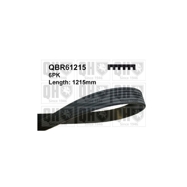 Quinton Hazell Qbr61215 Multi-Ribbed Belt