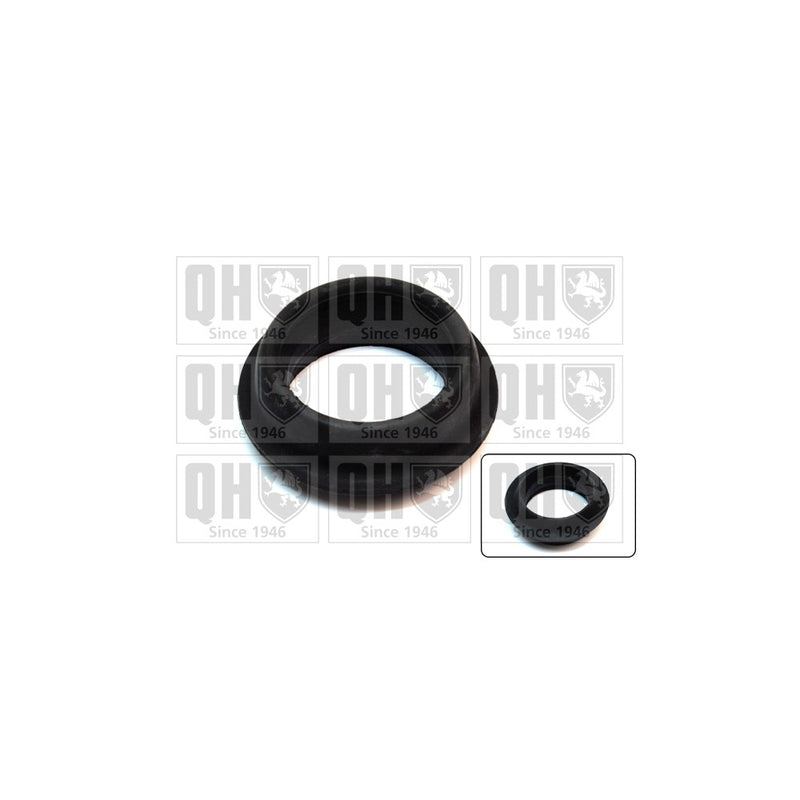 QH EMR2173 Top Strut Mounting - Front exc.Bearing LH & RH