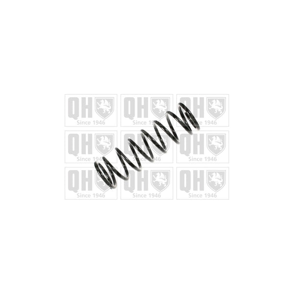 QH QCS5056 Coil Spring
