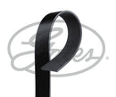 Gates FleetRunner Micro-V Belt - 10PK1513HD