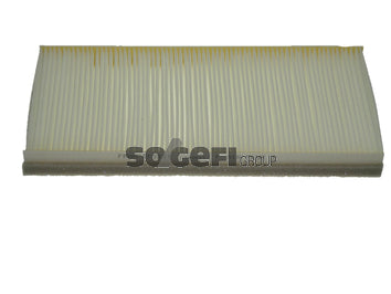 Fram Cabin / Pollen Filter - CF8831