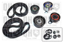 QH Timing Belt Kit - QBK335