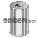 Fram Fuel Filter - C12516