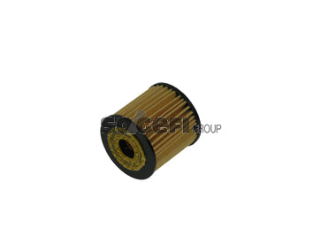 Fram Oil Filter - CH9024ECO