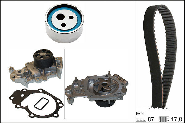 INA Water Pump & Timing Belt Set - Part No - 530018231