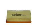 Fram Air Filter - CA11288