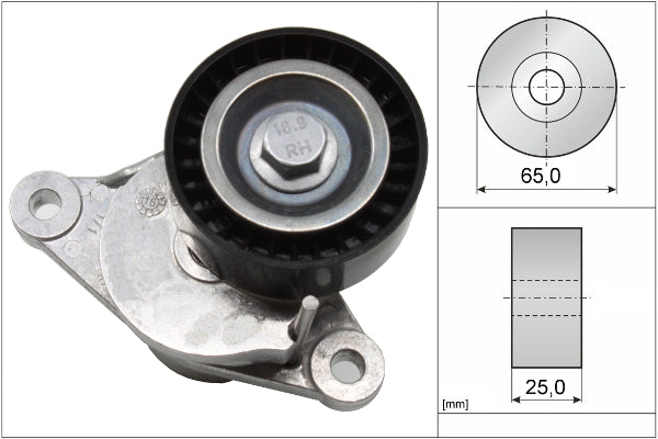 INA Tensioner Lever - V-Ribbed Belt - Part No - 534065510