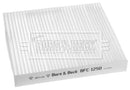 Borg & Beck Cabin / Pollen Filter - BFC1250