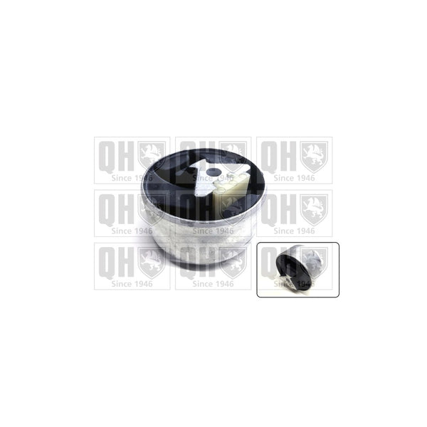 QH EM4803 Engine Mounting