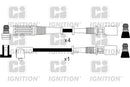 Ignition SAE Ignition Lead Set - XC366
