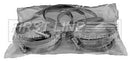 First Line Hose Clip Part No -FHC1006