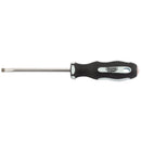 Draper Expert 100x5.5MM PAR TIP S/Driver PKD - 34973