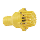 Draper Foot Valve Strainer 2" - 19548