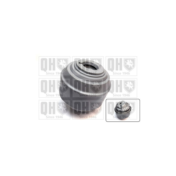 QH EM4800 Engine Mounting